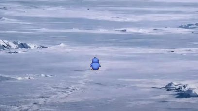 A small blue penguin standing alone on a vast expanse of snow and ice.