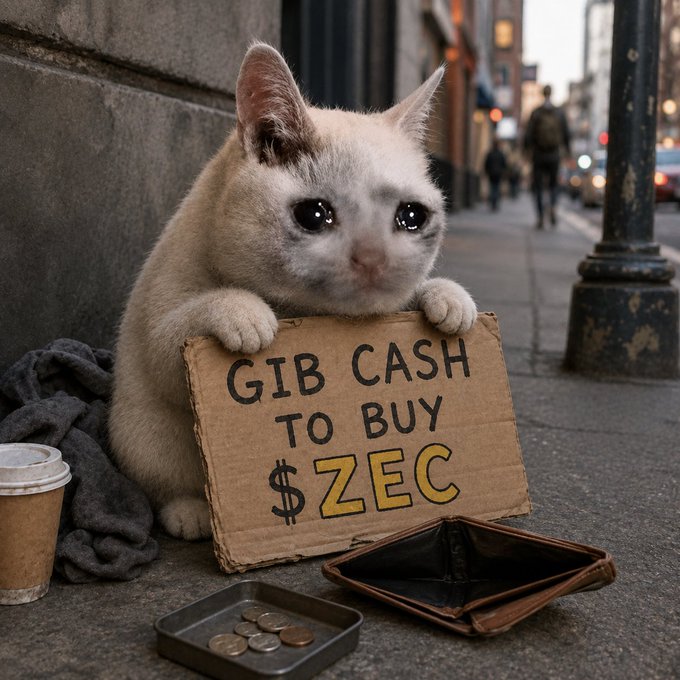 A small, wide-eyed kitten sits on a city sidewalk clutching a cardboard sign that reads "GIB CASH TO BUY $ZEC," with an empty wallet and a tin of coins beside it — humorously begging for donations to buy Zcash ($ZEC), tying into the post's hype about $ZEC being a "runner" in the $ZEC/$SOL pair.
