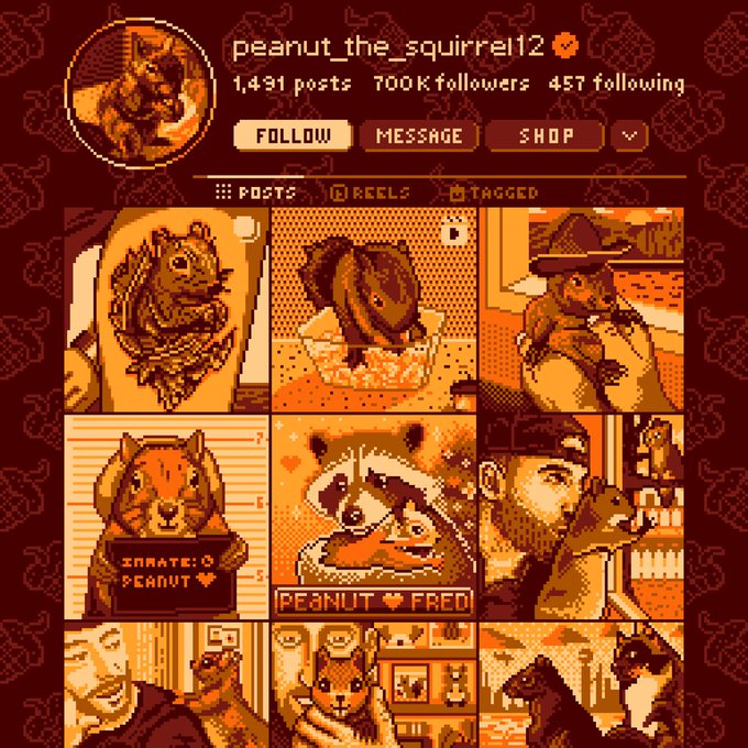 A pixel art styled Instagram profile for 'peanut_the_squirrel12' with 1,431 posts, 700K followers, and 457 following, featuring a grid of orange-toned squirrel images including mugshots and illustrations.