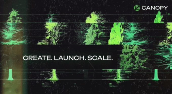 The image is a stylized graphic for **CANOPY** (CNPY Network), featuring glowing green digital tree silhouettes against a glitch-effect black background, with the bold white tagline "CREATE. LAUNCH. SCALE." overlaid in the center.

It visually reinforces the post's message about the CNPY terminal being a fast, all-in-one workspace where developers can prototype, test, and deploy blockchain apps without friction — mirroring the "grow from idea to scale" metaphor implied by the upward-growing trees.