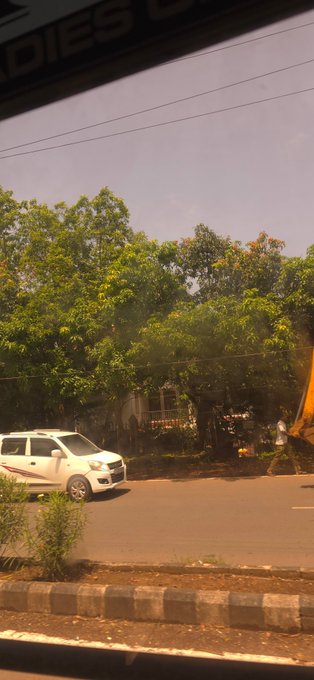 The image shows a white car parked next to a tree-lined street with power lines above. The photo appears to have been taken from inside a vehicle, as evidenced by the visible windshield. The car's position near the trees suggests that it might be parked on someone's driveway or in front of their home. The post about AlgoFoundation and @Algorand is likely related to the image, possibly discussing the use of data analysis techniques for optimizing traffic flow or other applications involving large amounts of data.