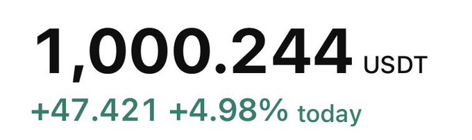 A financial display showing a balance of '1,000.244 USDT' with a daily gain of '+47.421' and '+4.98% today'.
