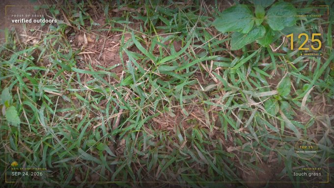 A screenshot showing a patch of grass and dirt with a digital overlay displaying 'PROGRESS 1 DAY, 125 hours remaining,' 'verified outdoors,' 'SEP 24, 2026,' and 'Touch grass,' likely from a tracking app.
