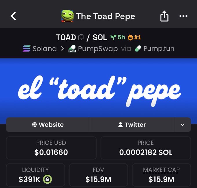 A screenshot of "The Toad Pepe" ($TOAD) token page on PumpSwap via Pump.fun, showing a price of $0.01660 (0.0002182 SOL), $391K liquidity, and a $15.9M market cap. The image illustrates the poster's lament about missing $TOAD's early run to a multi-million dollar market cap after being pinged at just $100K.