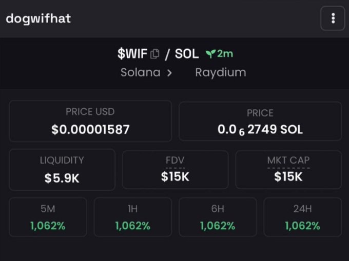 A cryptocurrency dashboard displays the "dogwifhat" ($WIF) token paired with SOL on Raydium, priced at $0.00001587 with $5.9K liquidity, $15K FDV, and showing a 1,062% gain across all timeframes.