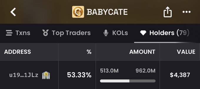 A mobile app screenshot for a token called 'BABYCATE' displaying the 'Holders' tab with 79 holders, showing the top address holding 53.33% (513.0M) valued at $4,387.