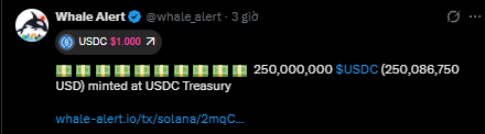 A screenshot of a Whale Alert tweet showing “250,000,000 $USDC (250,086,750 USD)” minted at USDC Treasury, with a partially visible whale-alert.io link.