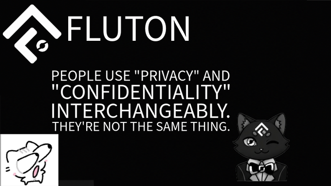 A black graphic with the logo and name 'FLUTON' at the top, stating 'PEOPLE USE "PRIVACY" AND "CONFIDENTIALITY" INTERCHANGEABLY. THEY'RE NOT THE SAME THING.', featuring two cat illustrations.