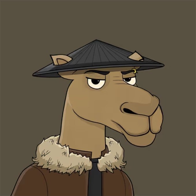 A cartoon illustration of a camel wearing a black conical hat and a fur-collared coat, looking sideways with a tired expression.