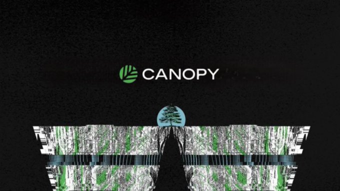 A dark screen displaying the green Canopy logo with a stylized tree icon above glitchy visual effects.