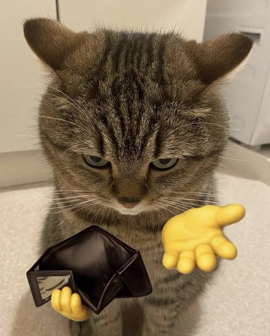 A tabby cat with a serious expression holds a black wallet with cartoon yellow hands, extending one hand as if offering something.