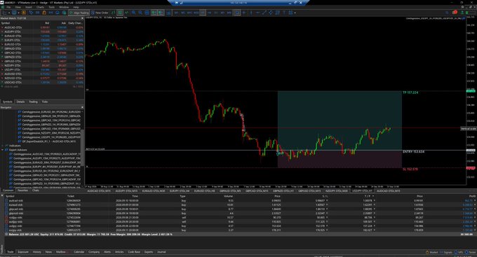 A screenshot of the MT5 trading platform displaying a sharp price chart drop and recovery, with the post celebrating the volatile "journey" of $MELLOW0X69 token from a $200k market cap to a $16m peak and back down to $60k, now at $600k, highlighting the project's custom-built copy trade algo system with 55 funded accounts.