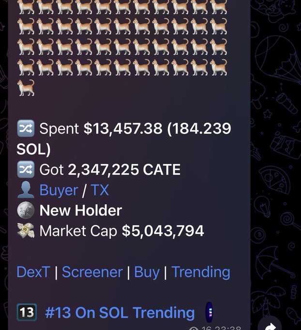 The image shows a crypto transaction where 184.239 SOL (worth $13,457.38) was spent to acquire 2,347,225 CATE tokens, marking a new holder and pushing CATE's market cap to $5,043,794. The presence of dog emoji icons lining the top of the post visually represents "whales loading," reinforcing the idea of significant accumulation of the $CATE token, which currently ranks #13 on the SOL Trending list.