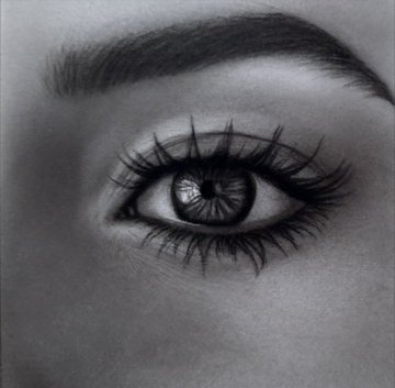 A detailed black and white pencil drawing focusing on a single human eye with long eyelashes and a well-defined eyebrow.