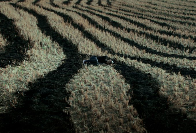 An aerial view of a person lying down in the middle of a vast, harvested field with curved rows of cut crop stubble.