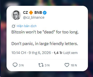 The image features a white Twitter post with black text, which reads "Bitcoin sẽ không hẹo lâu đâu, Đừng hoảng loạn" Sếp bảo anh em cứ yên tâm mà mua. The post is about Bitcoin and its value in the current market.