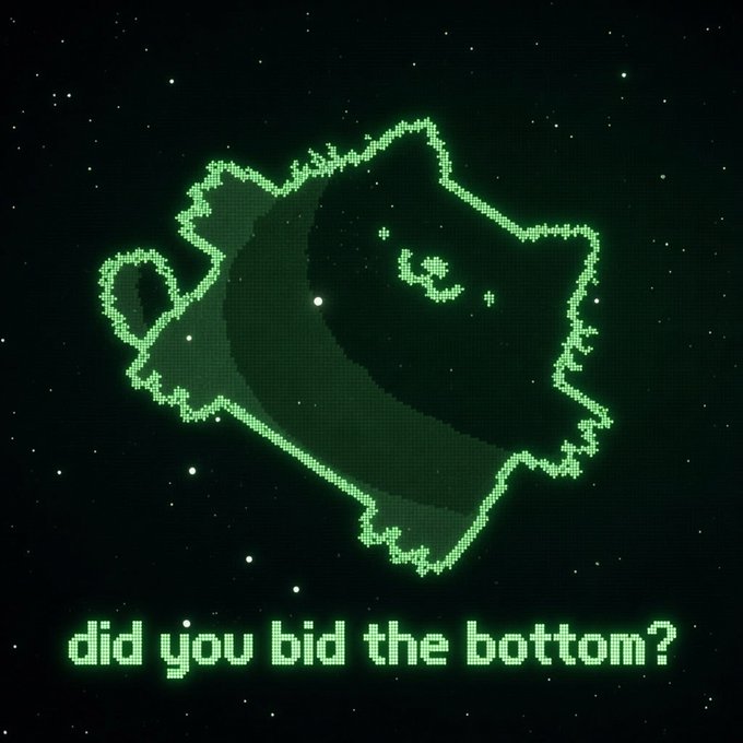 Pixel art illustration in green tones depicting a creature or character on a dark starry background, with the text 'did you bid the bottom?' below it.