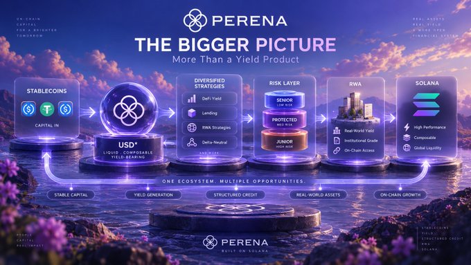 An infographic for "PERENA" titled "THE BIGGER PICTURE" promoting their Solana-based ecosystem, highlighting categories like Stablecoins, Diversified Strategies, Risk Layer, RWA, and Solana.