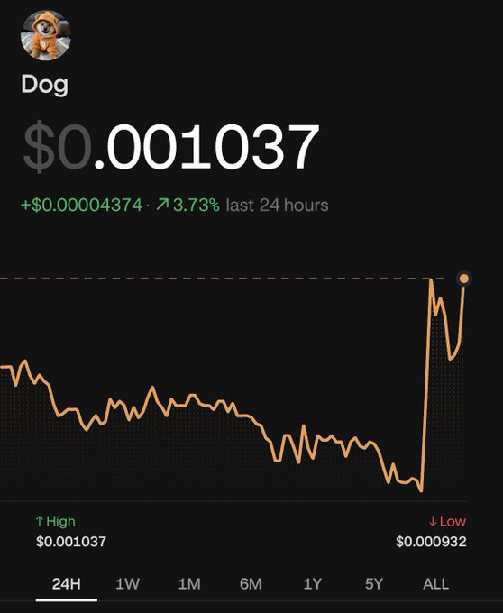 A crypto price tracker showing "Dog" token at $0.001037, up 3.73% in the last 24 hours, with an orange line graph depicting a sharp recent price spike.