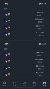 A mobile app screen showing financial portfolio summaries in Chinese, displaying a balance of $1,054.1 with multiple BR asset holdings and their USD values.
