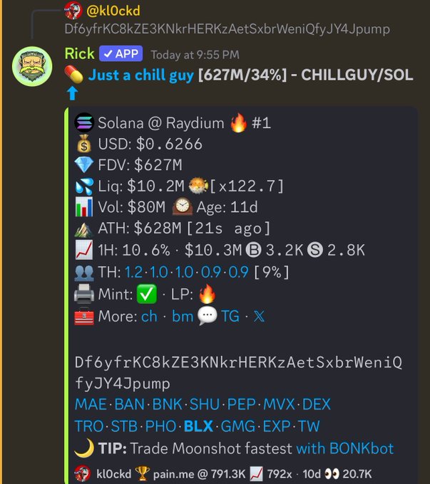A screenshot of a Discord bot message displays crypto token statistics for 'CHILLGUY/SOL' including USD price, FDV, liquidity, volume, and market cap details.