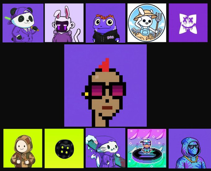 A collection of NFT-style digital art pieces featuring purple backgrounds with various cartoon characters including pandas, frogs, rabbits, and pixel art portraits.