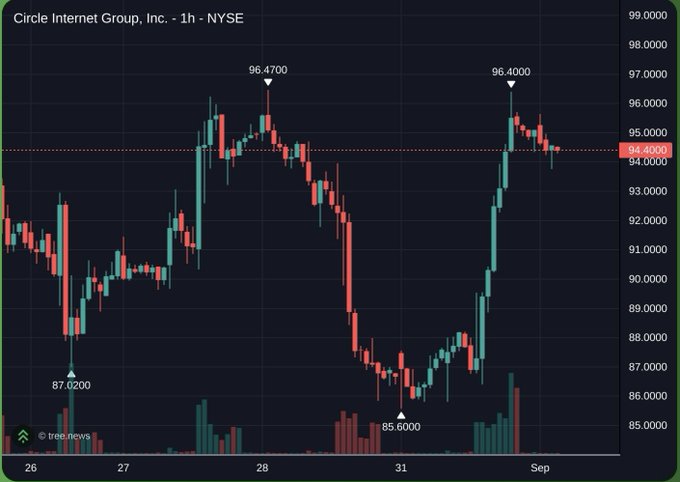 A 1-hour stock candlestick chart for Circle Internet Group, Inc. on the NYSE showing price movement between approximately $85.60 and $96.47, currently near $94.40.