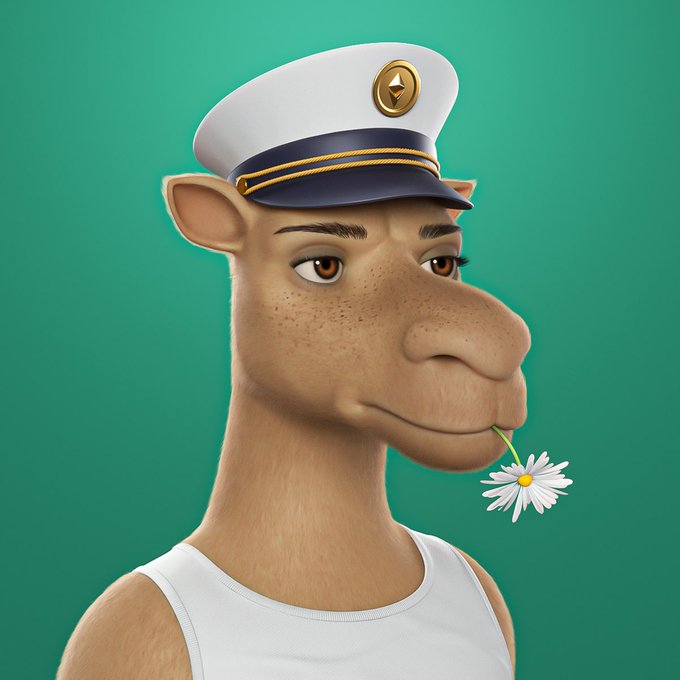 A 3D rendered cartoon camel character wearing a white and navy captain's hat with a gold emblem and a white tank top, holding a daisy flower in its mouth against a teal background.