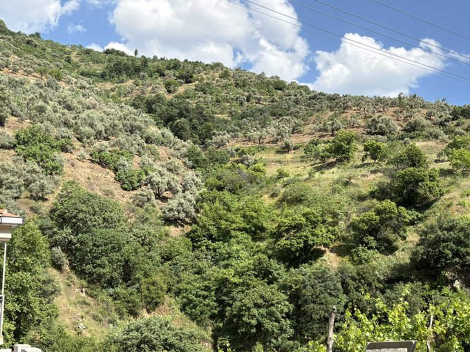 The image shows a beautiful view of a hillside with trees and bushes, overlooking a valley below. The sky above has some clouds, adding depth to the scene. In the foreground, there are two people standing near each other, possibly enjoying the view or taking in the fresh air. A car can be seen parked at the bottom left corner of the image.

The post features an interesting quote about spending time with family and clearing one's mind, which could be related to the serene environment depicted in the image. The post also mentions a chart, markets, and timelines that may be relevant to cryptocurrency discussions or projects like @quipnetwork.
