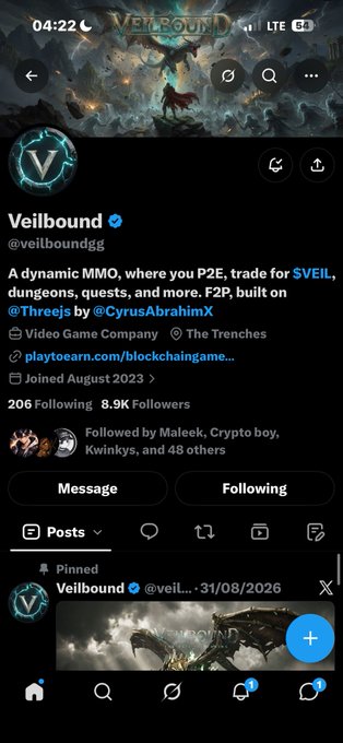 A Twitter/X profile page for the verified account 'Veilbound' (@veilboundgg), describing it as a dynamic MMO built on Threejs and F2P, founded August 2023, with 206 following and 8.9K followers.