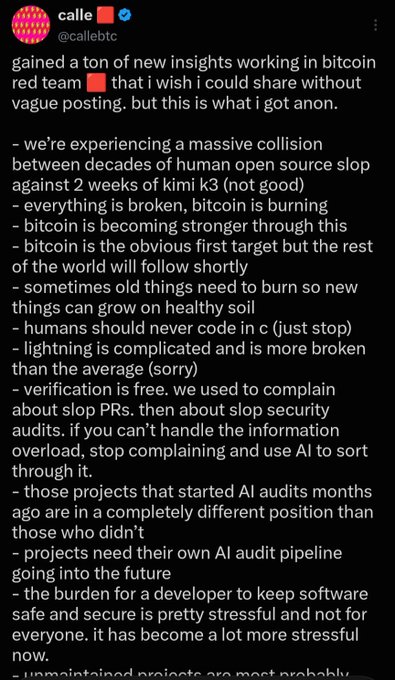 The image shows a tweet from "calle" (@callebtc) sharing insights from working on the Bitcoin red team, with bullet points stating that Bitcoin is experiencing a "massive collision" between human and AI-generated code over the past two weeks, that "everything is broken, bitcoin is burning," but that "bitcoin is becoming stronger through this." The tweet's warnings about AI-generated slop damaging Bitcoin and stressing developers connect to the poster's complaint about an attack on Bitcoin from "bip110 assholes," framing the recent drama as part of a larger, costly assault on the network that users should reflect on.
