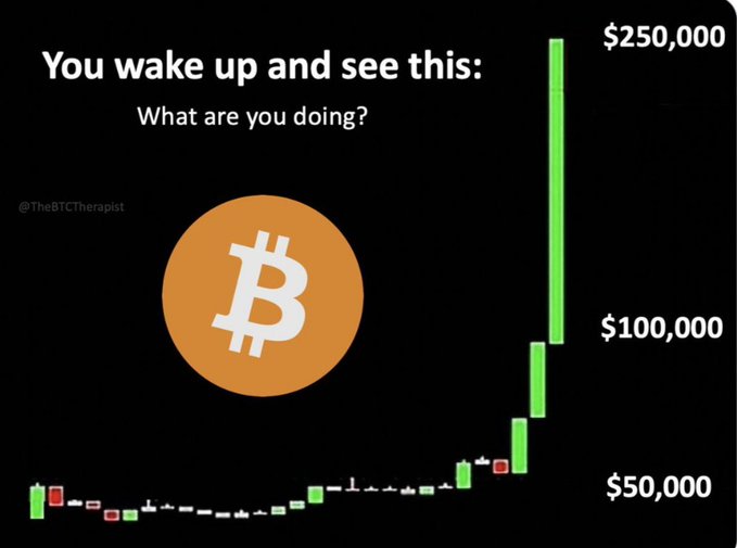 A meme graphic features the Bitcoin logo with the text 'You wake up and see this: What are you doing?' next to a green candlestick chart showing a massive price surge toward $250,000, credited to '@TheBTCTherapist'.