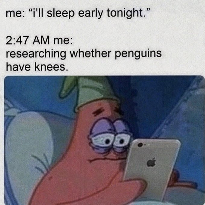 Relatable meme featuring Patrick Star from SpongeBob looking exhausted while staring at his iPhone, with text joking about planning to sleep early but instead researching whether penguins have knees at 2:47 AM.