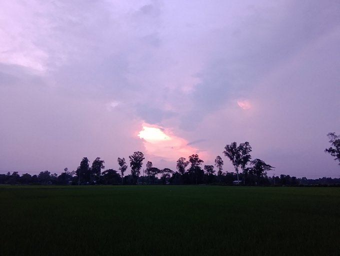 A serene landscape shows a pink and purple sunset with clouds over a dark green field and a silhouette of trees.