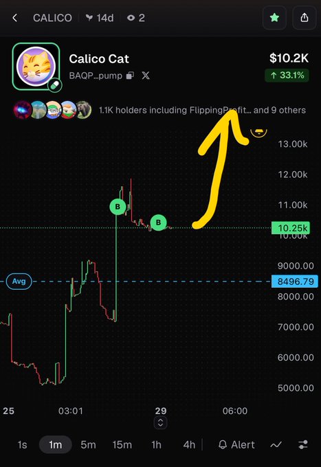 The image shows a crypto price chart for "Calico Cat" (ticker: CALICO, contract: BAQp...pump) currently priced at $10.2K with a 33.1% gain, highlighting the 1.1K holders including "@FlippingProfits" with a yellow arrow pointing to the username, suggesting anticipation that this influential trader will soon take notice of the token ahead of a potential breakout.
