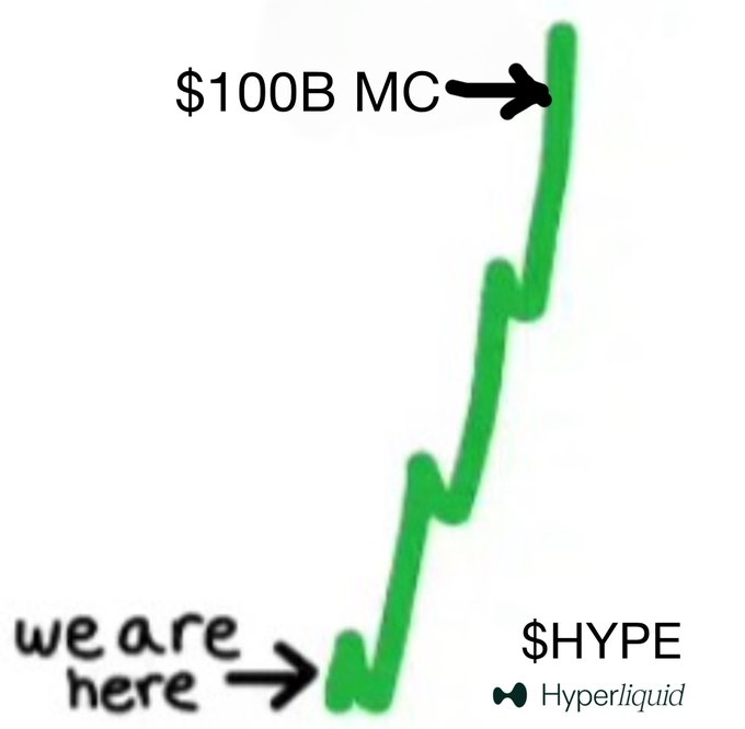 The image depicts a bar chart that features two lines, one green representing a rise of $100BMC and another green representing a drop of $100BMC with a downward-pointing arrow. The text "we are here" appears in the bottom left corner of the image, which may be an instruction or a reference to where the viewer can find more information about Hyperliquid.