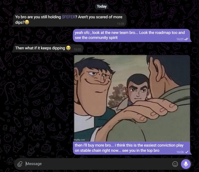 A WhatsApp chat conversation discusses $SEFER and stable chain investments, featuring an anime meme image with the caption 'then i'll buy more bro... i think this is the easiest conviction play on stable chain right now... see you in the top bro'.