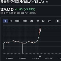 A stock chart showing TSLA (Tesla) at 376.10, up +11.53 (+3.25%), with a sharp upward spike visible.