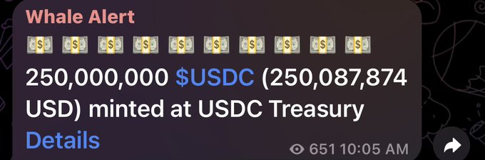 The image shows a screenshot of a message from a wallet app, which displays the details about a $250,000 USDC (United States Dollar Coin) that has been minted at the USDC Treasury. The wallet app also provides information on the transaction's status and details.