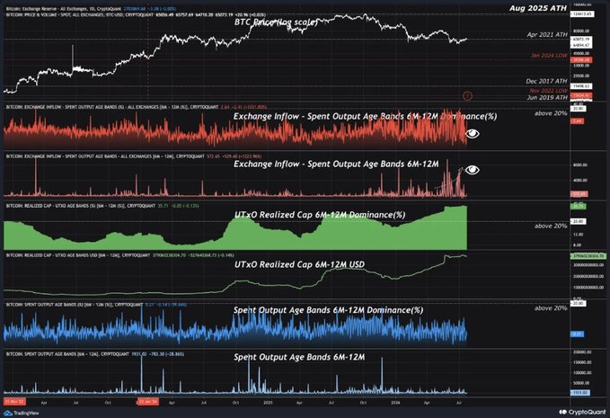A multi-panel CryptoQuant chart titled "Aug 2025 ATH" tracks Bitcoin's price near its all-time high alongside key on-chain metrics for the 6M–12M holder cohort, including Exchange Inflow (showing a spike to ~520k BTC), UTXO Realized Cap Dominance climbing above 20%, and Spent Output Age Bands dominance metrics—visually supporting the post's thesis that this cohort is actively repositioning ahead of the next market phase.
