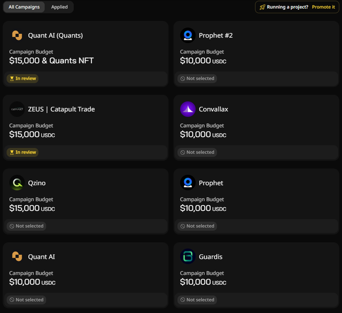 A web interface displaying a grid of project campaigns, including 'Quant AI (Quants)' and 'ZEUS | Catapult Trade' marked as 'In review', and others like 'Prophet #2' and 'Corvallax' marked as 'Not selected', all showing a 'Campaign Budget'.