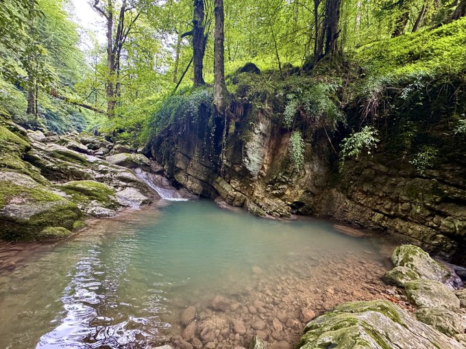 A serene stream with clear turquoise water flows through a mossy, forested gorge with rocky banks.