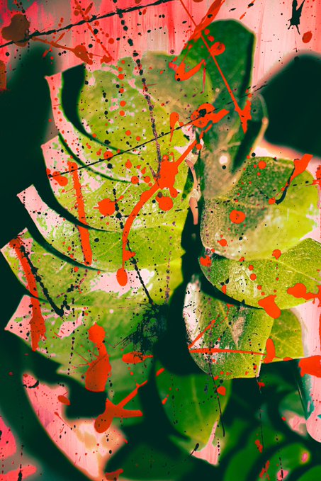 Artistic image of green monstera leaves with red and black paint splatter effects overlaid across the composition.