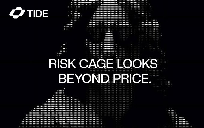 A black promotional graphic for TIDE featuring a pixelated figure with the slogan 'RISK CAGE LOOKS BEYOND PRICE.' in white text.