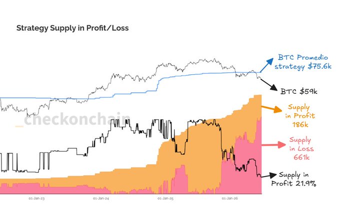 A chart titled "Strategy Supply in Profit/Loss" showing Bitcoin's price action against Strategy's holdings from January 2023 to 2026, highlighting that at BTC's current price of $59k—with an average purchase price of $75.6k—only 186,000 of Strategy's 661,000 BTC supply is in profit (21.9%).