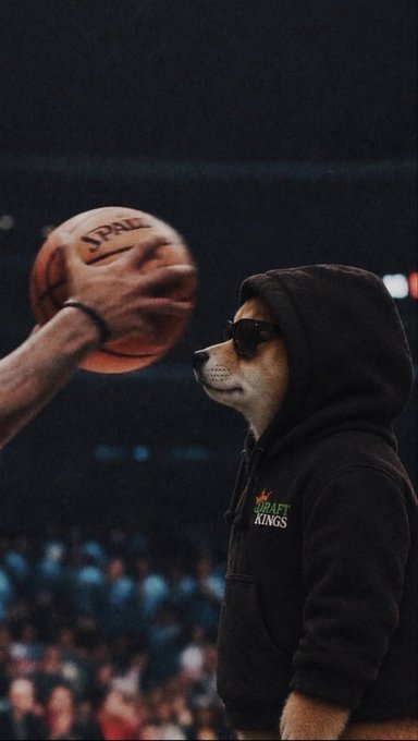 A surreal AI-generated image of a dog wearing a black 'Draft Kings' hoodie and sunglasses standing on a basketball court while a human hand holds a Spalding basketball near it.