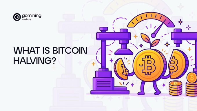 A promotional graphic from GOMINING Academy titled "WHAT IS BITCOIN HALVING?" features an anthropomorphized Bitcoin coin character holding a halved coin next to a speedometer, visually illustrating the post's explanation of how mining rewards are cut in half every four years.