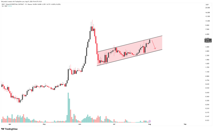 A TradingView candlestick chart for "BEL (Bella) Binance" showing a significant price rise followed by a parallel channel trend with a downward red arrow indicating a potential price drop.