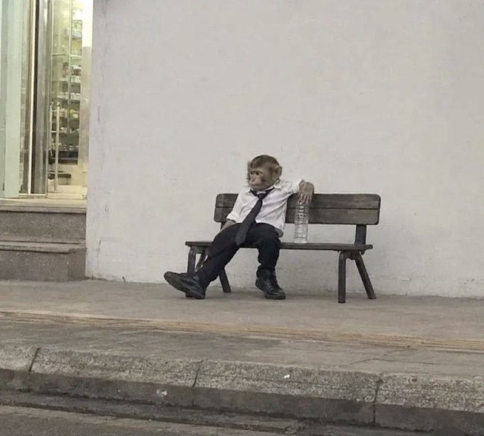 A small monkey dressed in a white dress shirt, black tie, and dark pants sits slumped on a wooden bench on a sidewalk, holding a clear plastic water bottle.