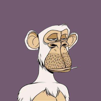 A cartoon illustration of a white monkey with a tan face, drooping eyes, and stubble, set against a solid purple background.